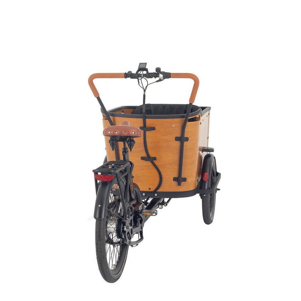 dotmall-aitour-cargo-bike-family-c-26-zoll-1.jpg