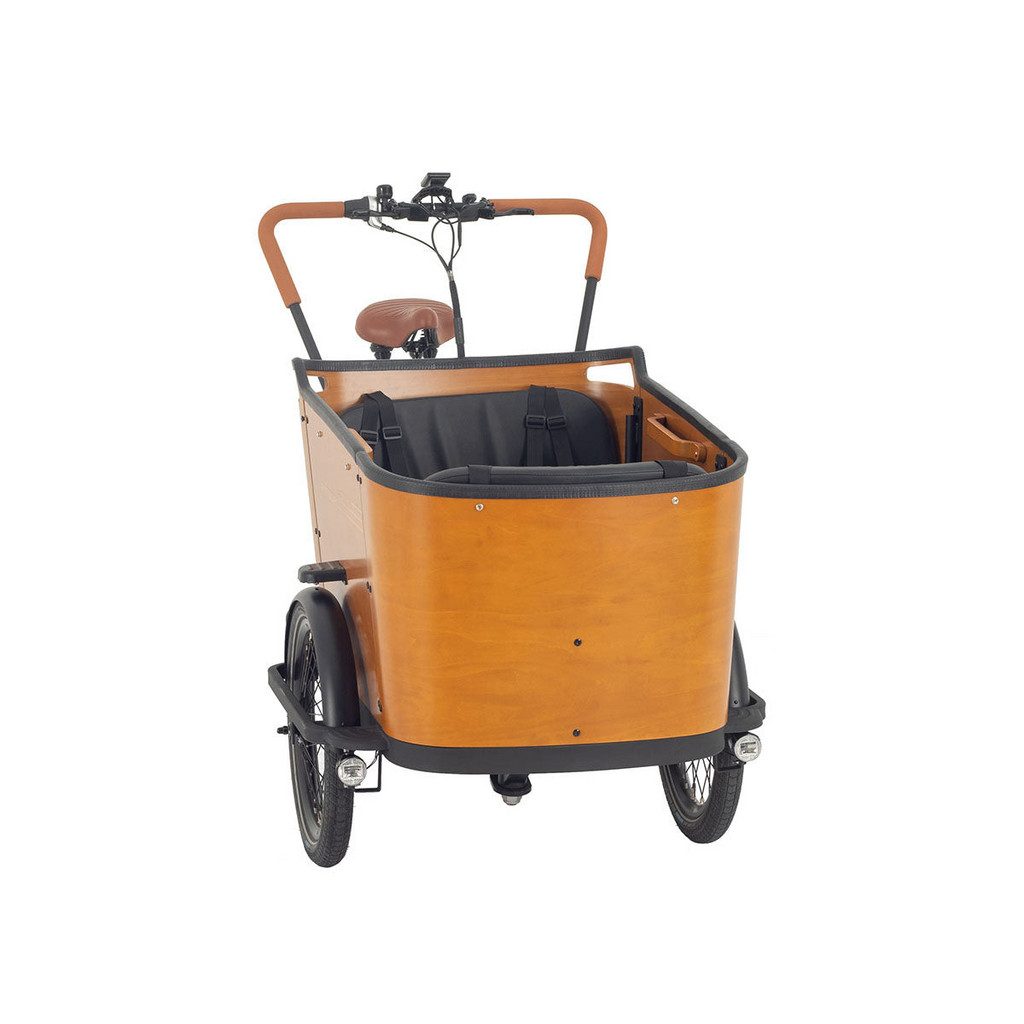 dotmall-aitour-cargo-bike-family-c-26-zoll-2.jpg