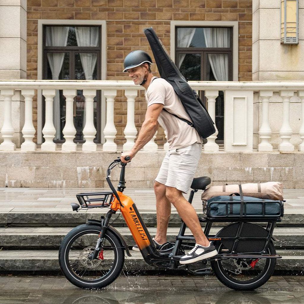 lankeleisi-wombat-1-e-bike-cargo-48v-20ah-1.jpg