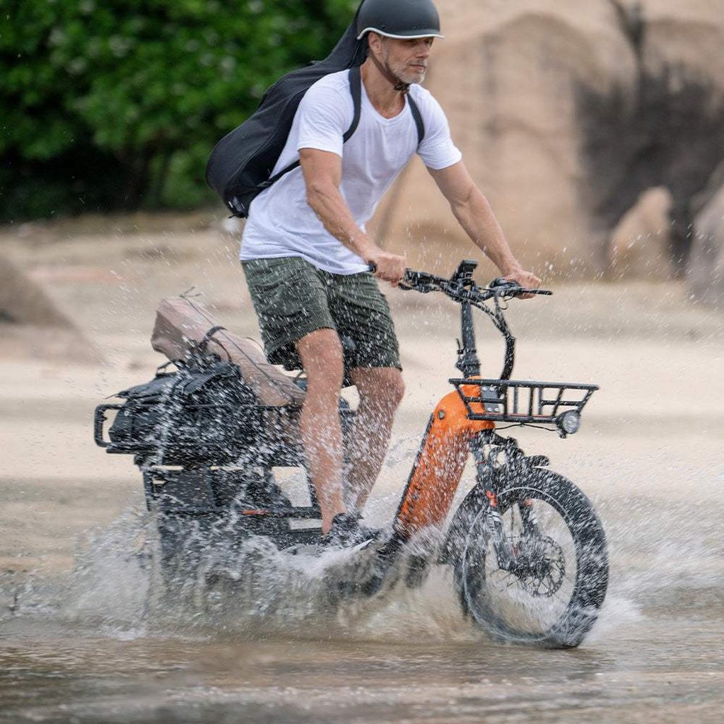 lankeleisi-wombat-1-e-bike-cargo-48v-20ah-2.jpg