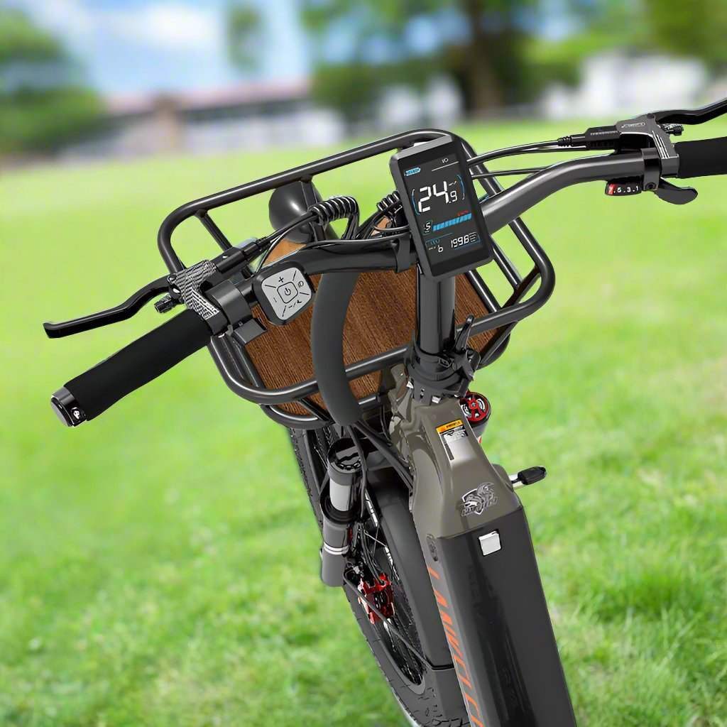 lankeleisi-wombat-1-e-bike-cargo-48v-20ah-4.jpg